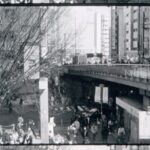 令和7年の東京を8mmフィルムカメラで撮影してみた